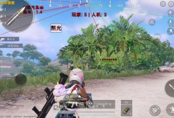 和平精英（天明）iOS辅助